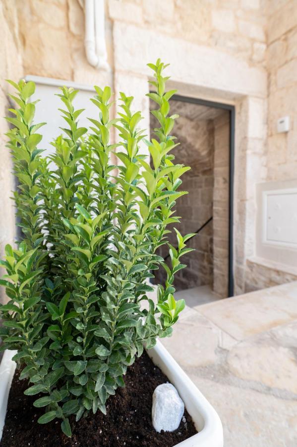 Piccola Pietra Bianca Hotel Giovinazzo Bagian luar foto